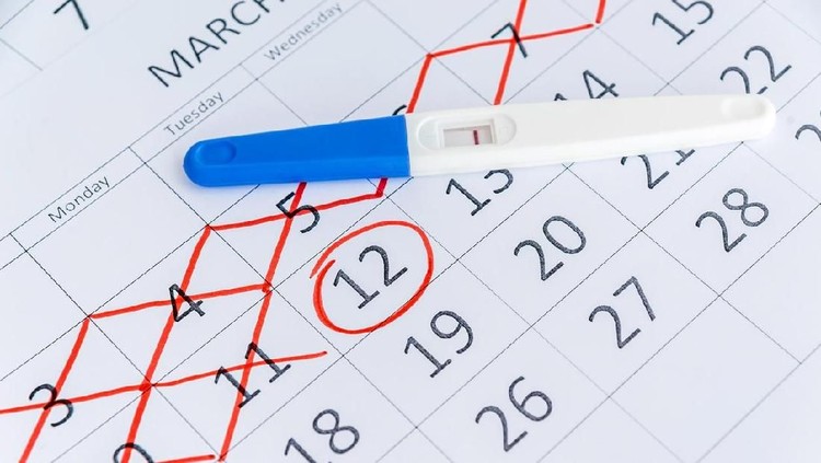 Negative pregnancy test with circling date in calendar. Planning of pregnancy, trying to have baby. Top view.