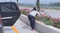 Viral Aksi Wanita Mencuri Bunga di Pinggir Jalan Tol Malang