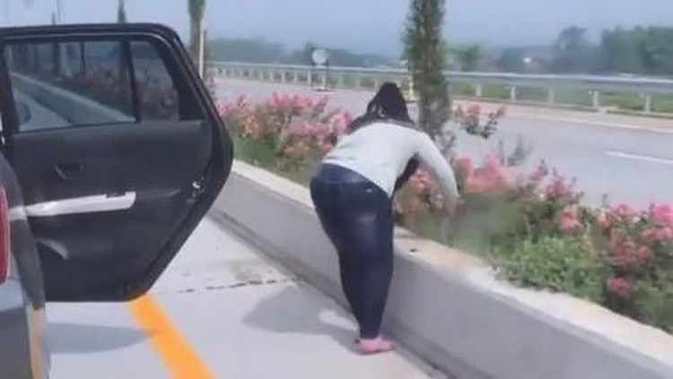 Seorang ibu tertangkap kamera sedang mencabut bunga di pembatas jalan tol. Aksi ini menjadi viral dan menuai komentar para netizen.