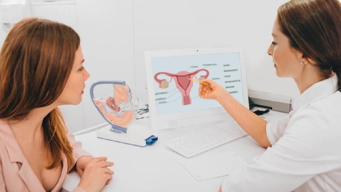 gynecologist communicates with her patient, pointing to the structure of the uterus, on her comput er.