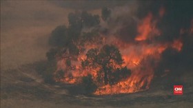VIDEO: Kebakaran Hutan Masih Terjadi di Australia