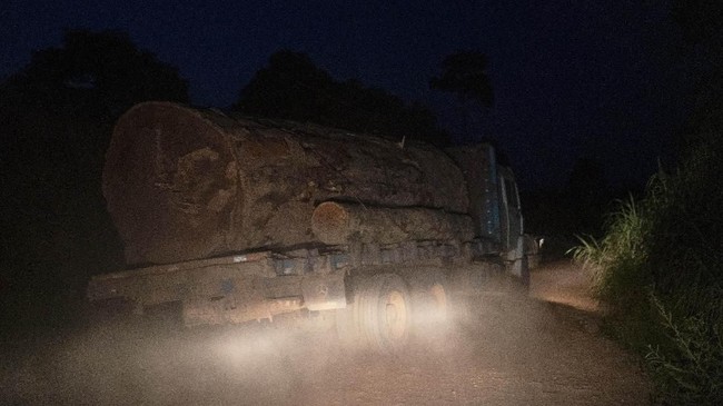 FOTO: Hutan Tropis Amazon di Persimpangan Jalan