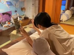 Susah Tidur? Coba Terapi Tidur Bareng Kucing Gemas di Hotel Ini