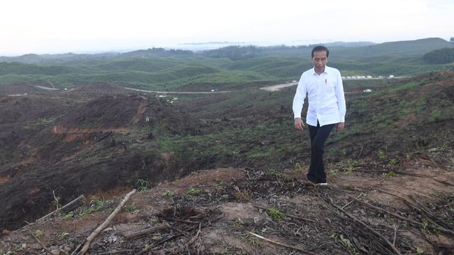 Pengamat berpendapat ada beberapa faktor politik di balik ambisi pemerintah melanjutkan proyek pemindahan ibu kota negara di masa krisis pandeim Covid.