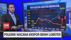 VIDEO; Polemik Wacana Ekspor Benih Lobster