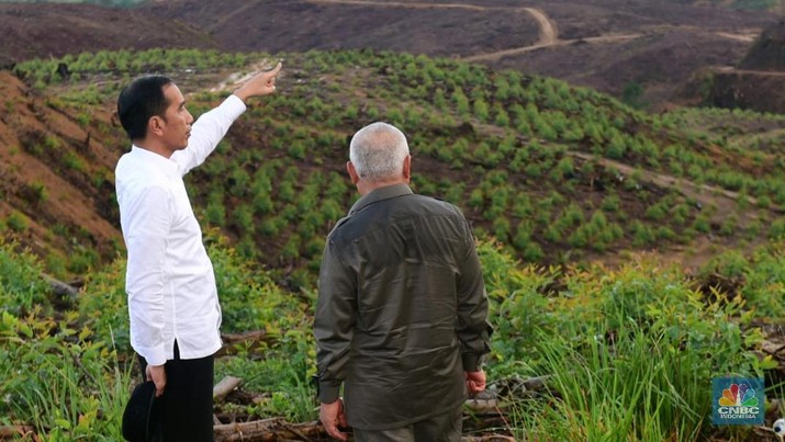 Sebagian lahan ibu kota baru di kecamatan Sepaku, Kabupaten Penajam. (CNBC Indonesia/Chandra Gian Asmara)