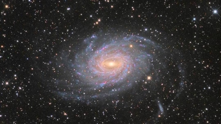 Indonesia menerima 251 usulan nama sebelum dua kata dari bahasa Nias&comma; Noifasui dan Dofida