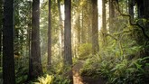 FOTO: Destinasi Wisata Lokasi Syuting 'Star Wars' Tak hanya cerita menarik, pengambilan gambar film Star Wars juga dipuji karena berlokasi syuting di destinasi wisata berpemandangan indah.