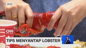VIDEO: Cara Nikmat Menyantap Lobster