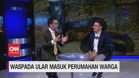 VIDEO: Awas Teror Ular Kobra