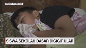 VIDEO: Siswa Sekolah Dasar Digigit Ular Kobra