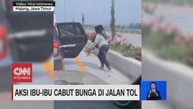 VIDEO: Viral Aksi Ibu-ibu Cabut Bunga di Jalan Tol
