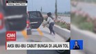 VIDEO: Viral Aksi Ibu-ibu Cabut Bunga di Jalan Tol