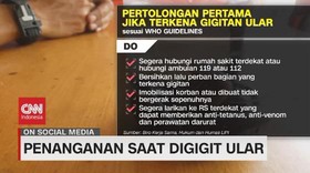 VIDEO: Jangan Salah, Begini Penanganan Saat Digigit Ular