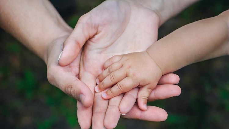 Olive Alayne meninggal satu minggu yang lalu. Satu hari setelah kematiannya, orang tua Alayne meminta orang-orang mendoakan supaya Alayne bisa hidup kembali.