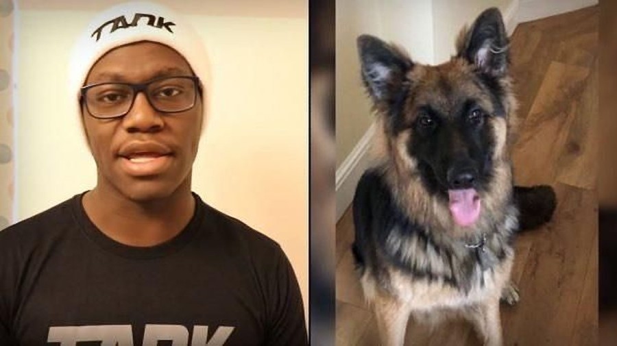 Seorang youtuber bernama Deji menghadapi masalah karena anjing peliharaannya menyerang seorang nenek. 