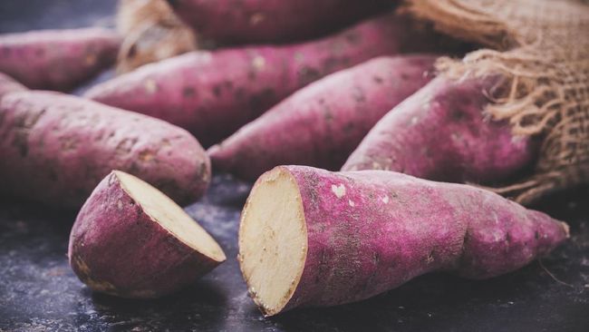 Selain gaya hidup dan kondisi stres, asupan makanan juga mempengaruhi tingkat kesuburan. Berikut daftar makanan untuk meningkatkan kesuburan.
