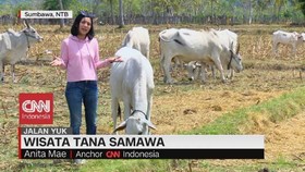 VIDEO: Wisata Tana Samawa