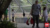 FOTO: Oase Baru Warga Jakarta Bernama Utan Kemayoran Ruang Terbuka Hijau Utan Kemayoran diperkenalkan kepada warga Jakarta hari ini. Dengan luas 22,3 hektare, tempat ini menawarkan berbagai fasilitas wisata alam.