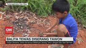 VIDEO: Balita Tewas Diserang Tawon