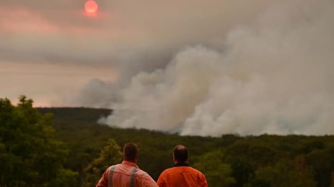 Selain kebakaran hutan, sejumlah kawasan di Australia juga sedang dilanda gelombang panas. Namun tak semua kawasan terdampak parah.