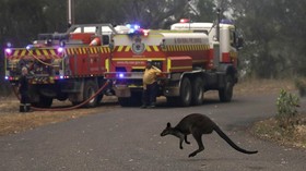 Perth Dilanda Kebakaran Hutan saat Lockdown Covid-19