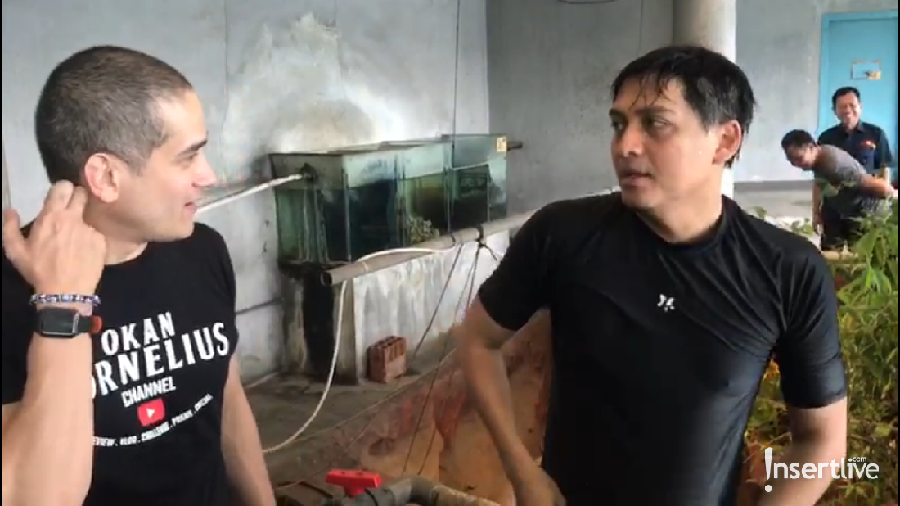 Lucky Hakim berenang dan memberi makan 1000 ikan piranha miliknya.