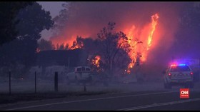 VIDEO: Kebakaran Hutan Australia Kembali Hanguskan Permukiman