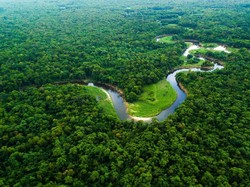5 Sungai Terpanjang di Benua Amerika, Ada yang Panjangnya 6.800 Kilometer