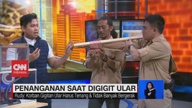 VIDEO: Penanganan Saat Digigit Ular