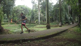 Taman Langsat Jakarta, Wisata Gratis dan Cocok untuk Piknik