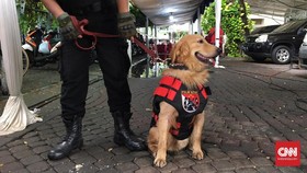 Axl, Anjing Polisi Pengawal Natal di Katedral Jakarta