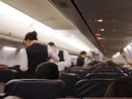Terpopuler: Tanaman Hias hingga Pesan Haru Istri Pramugara Sriwijaya Air