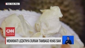 VIDEO: Menikmati Lezatnya Durian Khas Siak