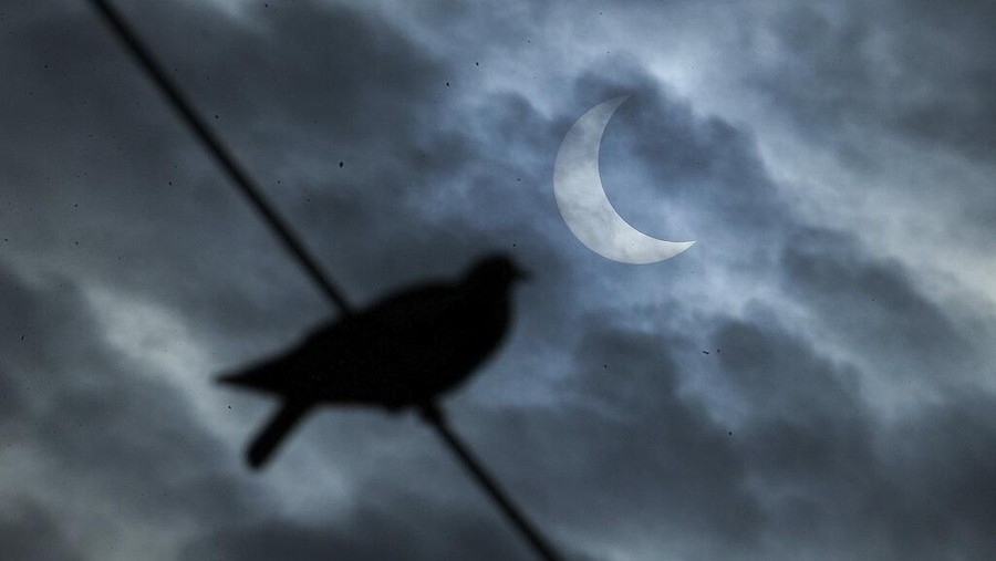 A roadside vendor holds a special filter and watches a partial solar eclipse in Hyderabad, India, Thursday, Dec. 26, 2019. (AP Photo/Mahesh Kumar A.)