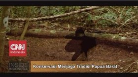 VIDEO: Konservarsi Menjaga Tradisi Papua Barat