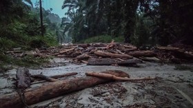 Dugaan Ilegal Logging, Polda Sumut Kerahkan Tim ke Labura