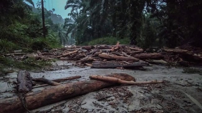 Polda Sumut telah mengerahkan tim ke Labura untuk menyelidiki penyebab banjir badang.