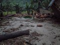 Diterjang Banjir Bandang, 200 KK Hilang Kontak