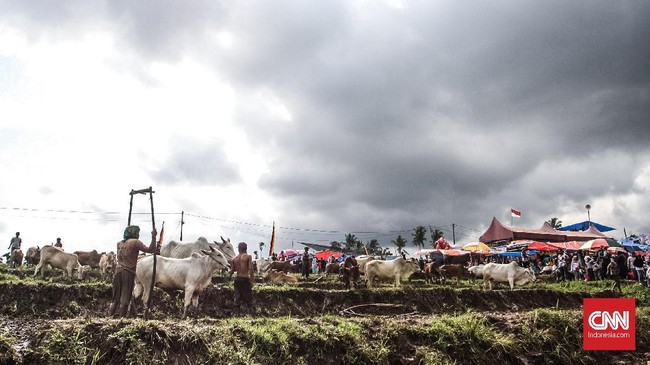 FOTO: Memburu Gambar Balapan 'Jawi'