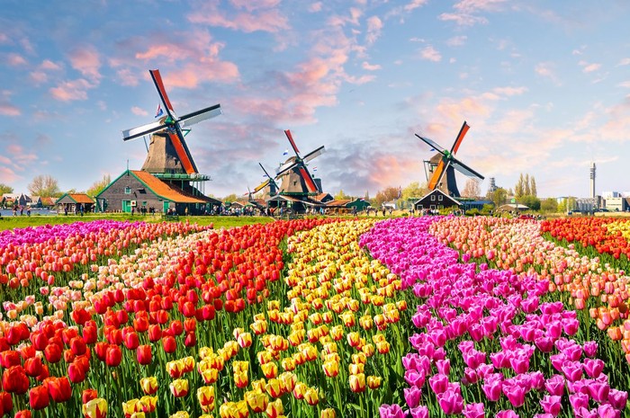 Ilustrasi Belanda Daftar Negara Hampir Tidak Punya Penjara, Minim Kriminalitas!