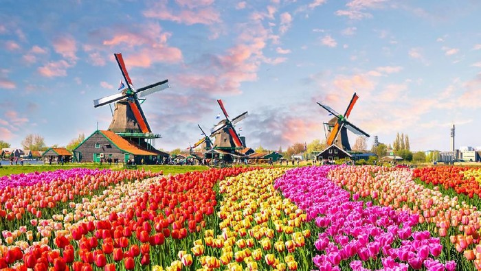 Ilustrasi Belanda