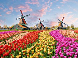 Covid Ngamuk Lagi, Belanda Lockdown Lagi