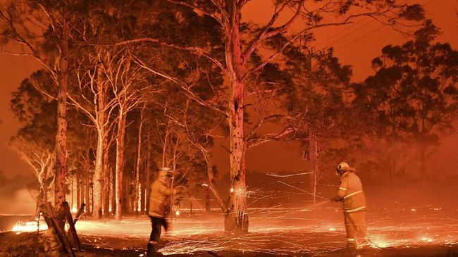 Kebakaran Hutan Australia This timed-exposure image shows firefighters hosing down trees as they battle against bushfires around the town of Nowra in the Australian state of New South Wales on December 31, 2019. - Thousands of holidaymakers and locals were forced to flee to beaches in fire-ravaged southeast Australia on December 31, as blazes ripped through popular tourist areas leaving no escape by land. (Photo by Saeed KHAN / AFP)