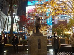 100 Tahun Hachiko, Si Anjing Setia