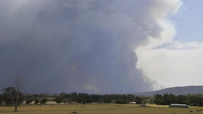 Asap Karhutla Australia Buat Salju Selandia Baru Berubah Asap kebakaran hutan di Australia mencapai Selandia Baru dan membuat lapisan es di dataran tinggi berubah warna.