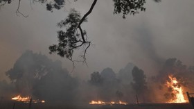 Turis dan Warga Diungsikan Akibat Kebakaran Hutan Australia