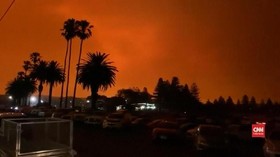 VIDEO: Ribuan Orang Terjebak Karhutla di Pantai Australia