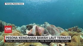 VIDEO: Pesona Keindahan Bawah Laut Ternate