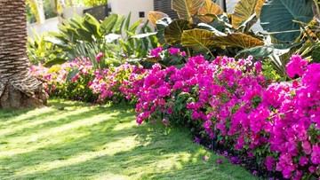 TAMAN INDOOR DENGAN ATAP TRANSPARAN